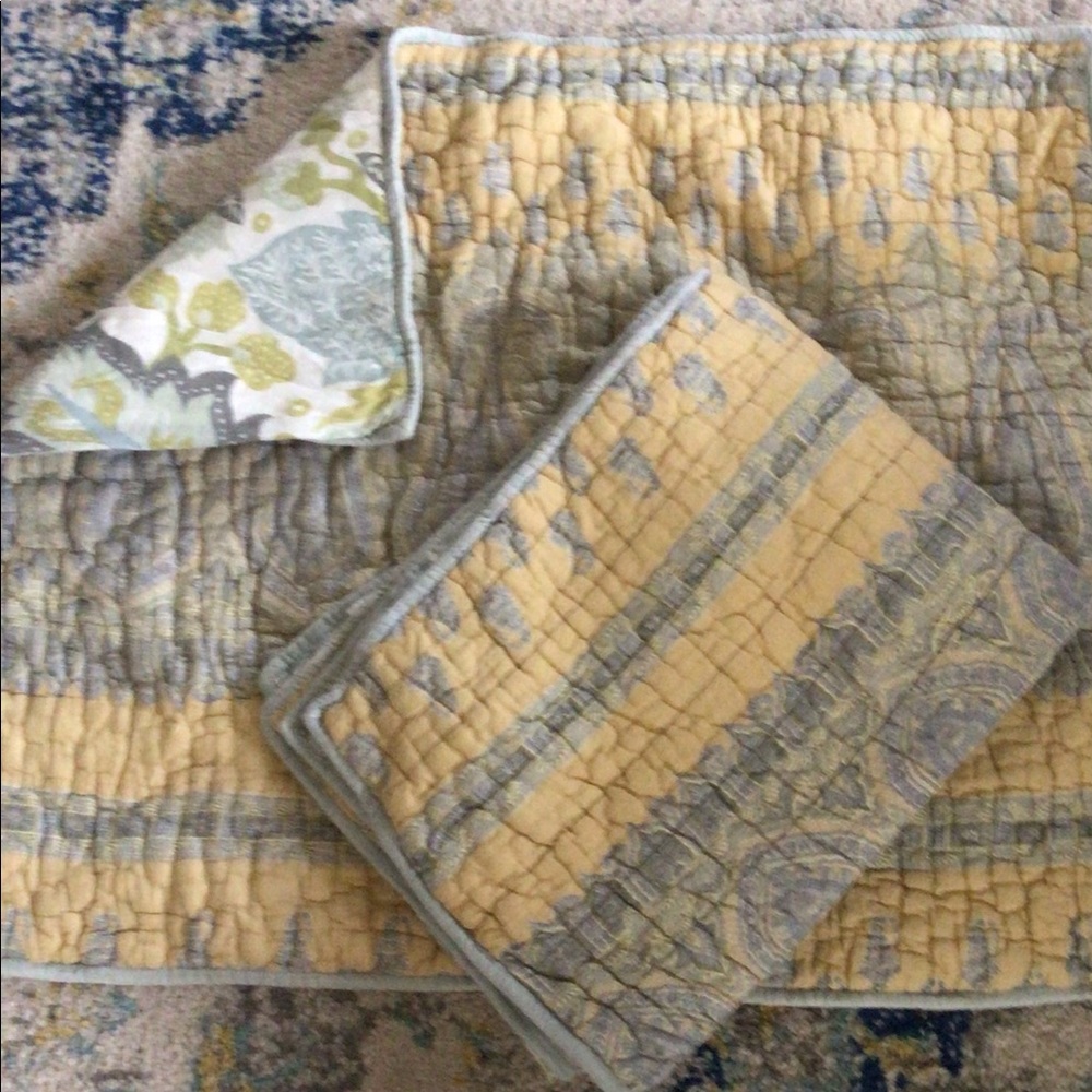 Pottery barn Standard shams